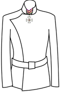 Порядок ношения ордена Сына II степени